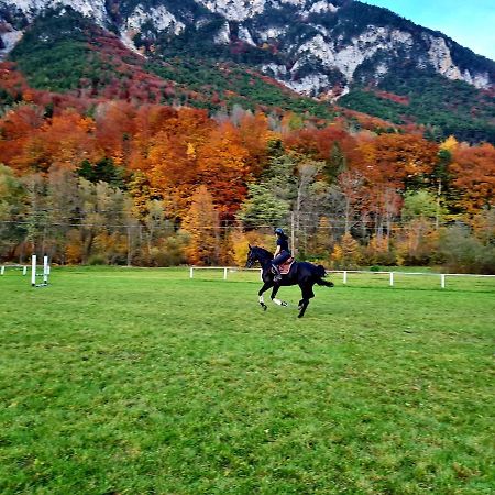Muehle In Der Pferdewelt Reichenau Exterior foto