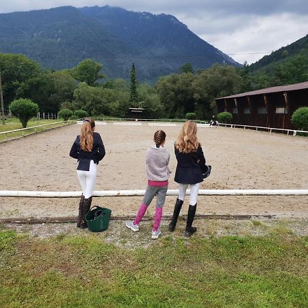 Muehle In Der Pferdewelt Reichenau Exterior foto