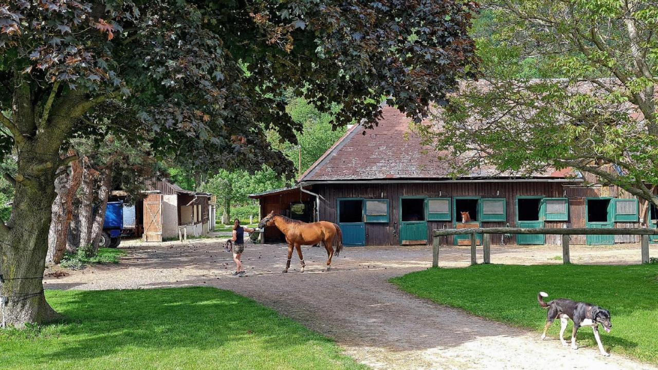 Muehle In Der Pferdewelt Reichenau Exterior foto