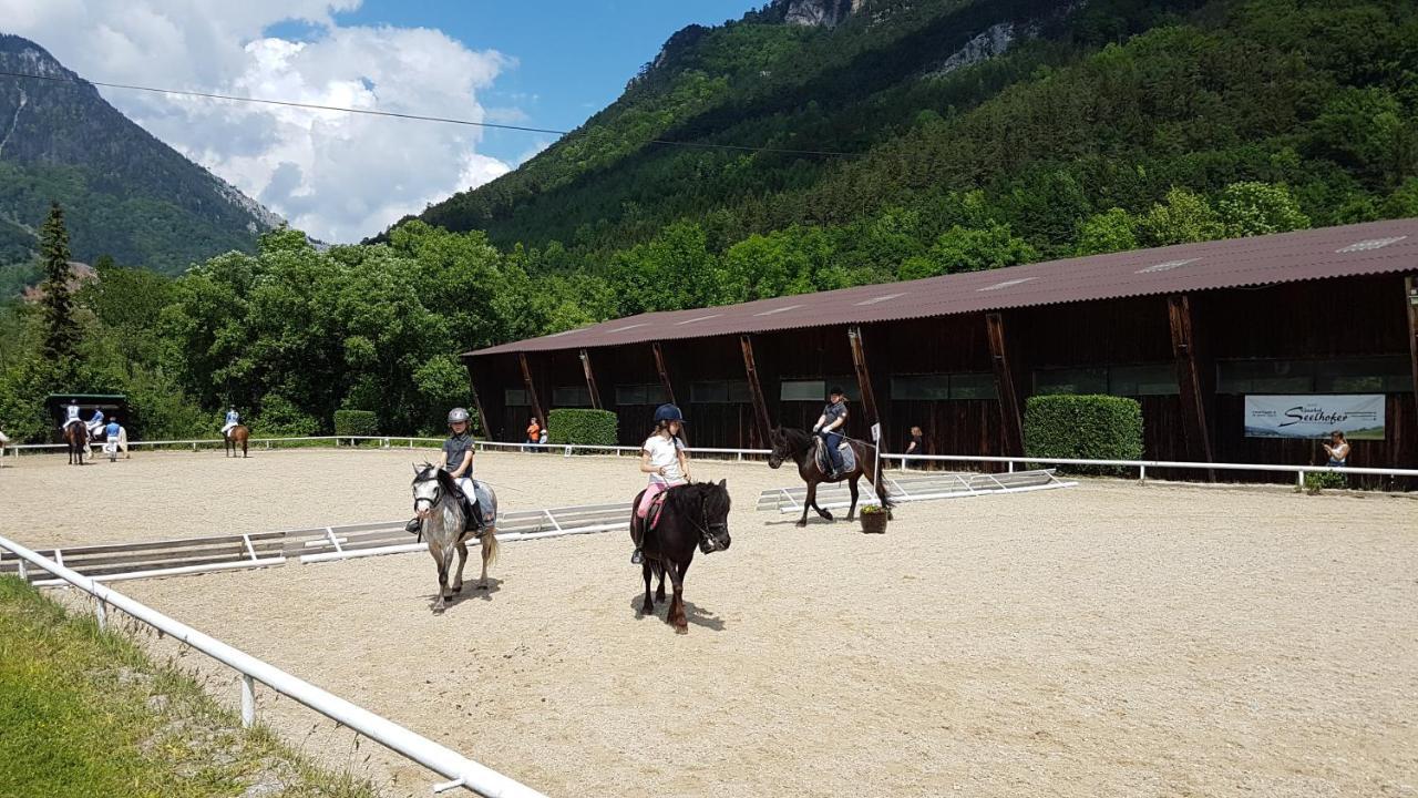Muehle In Der Pferdewelt Reichenau Exterior foto