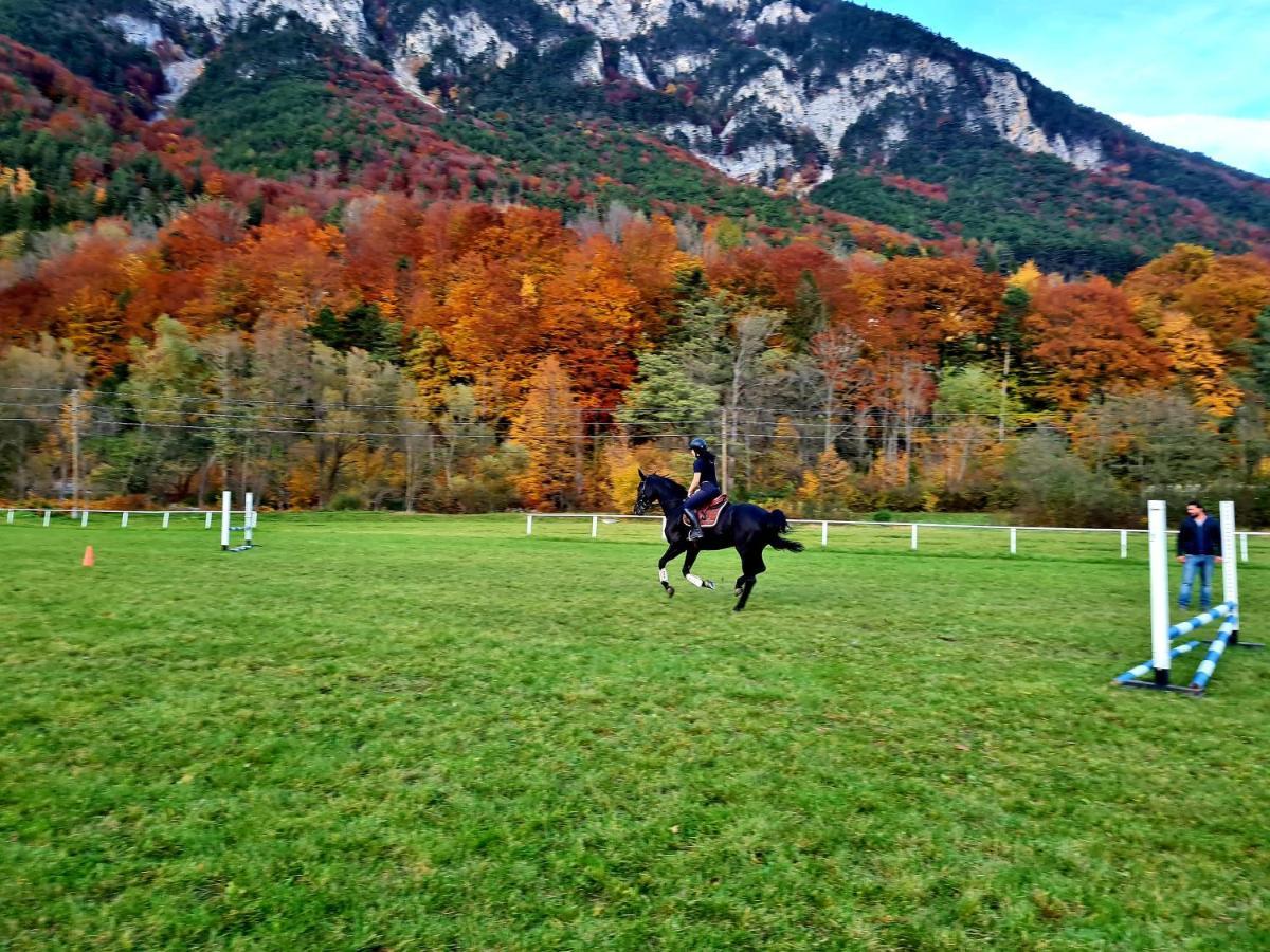 Muehle In Der Pferdewelt Reichenau Exterior foto