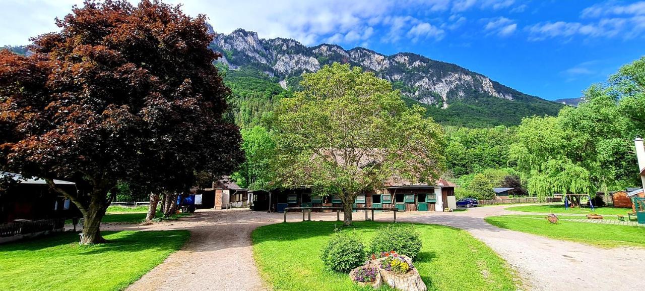 Muehle In Der Pferdewelt Reichenau Exterior foto